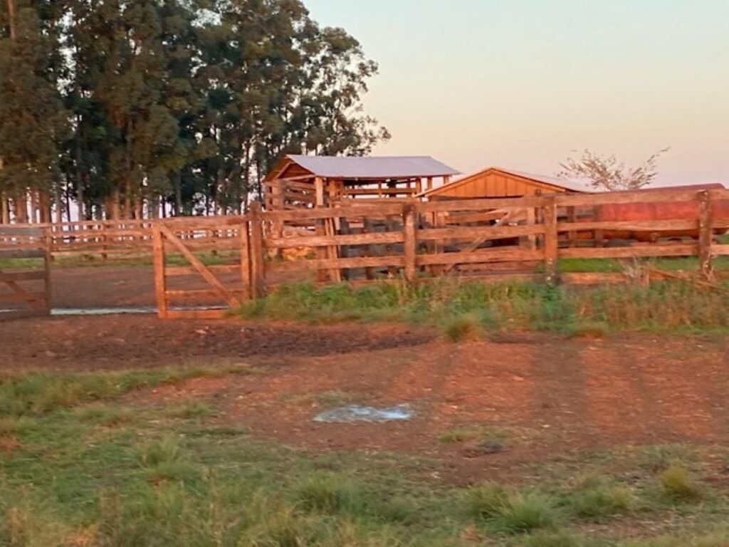Foto: Divulgação - Fazenda que leva o nome do ex-presidente em Itacurubi, na Região Central, está avaliada em R$ 80,7 milhões