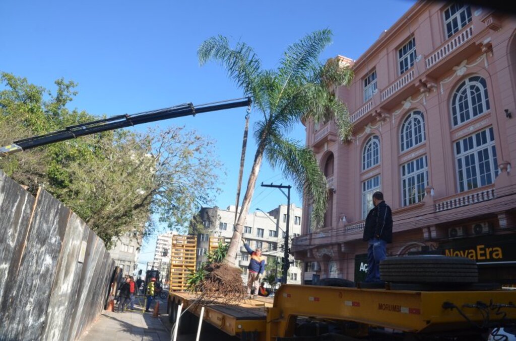 Equipes da prefeitura realizam retirada de árvores nativas da Praça Saldanha Marinho