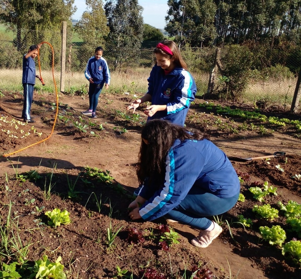 PROJETO HORTA NA ESCOLA SEGUE SENDO DESENVOLVIDO PELA EDUCAÇÃO.