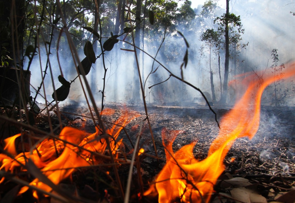 Foto: Carlos Queiroz - DP - Condições climáticas favorecem o surgimento de focos de incêndio