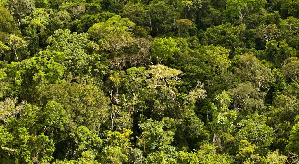 título imagem Helicóptero com três a bordo desaparece na floresta amazônica