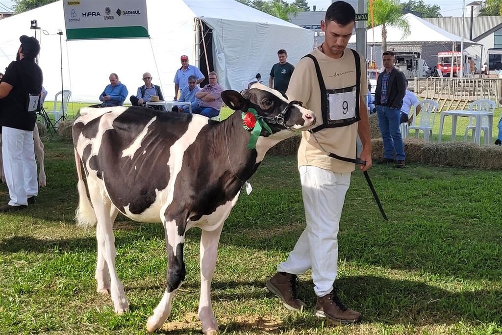 Cotribá levará à feira tecnologia para monitorar vacas leiteiras
