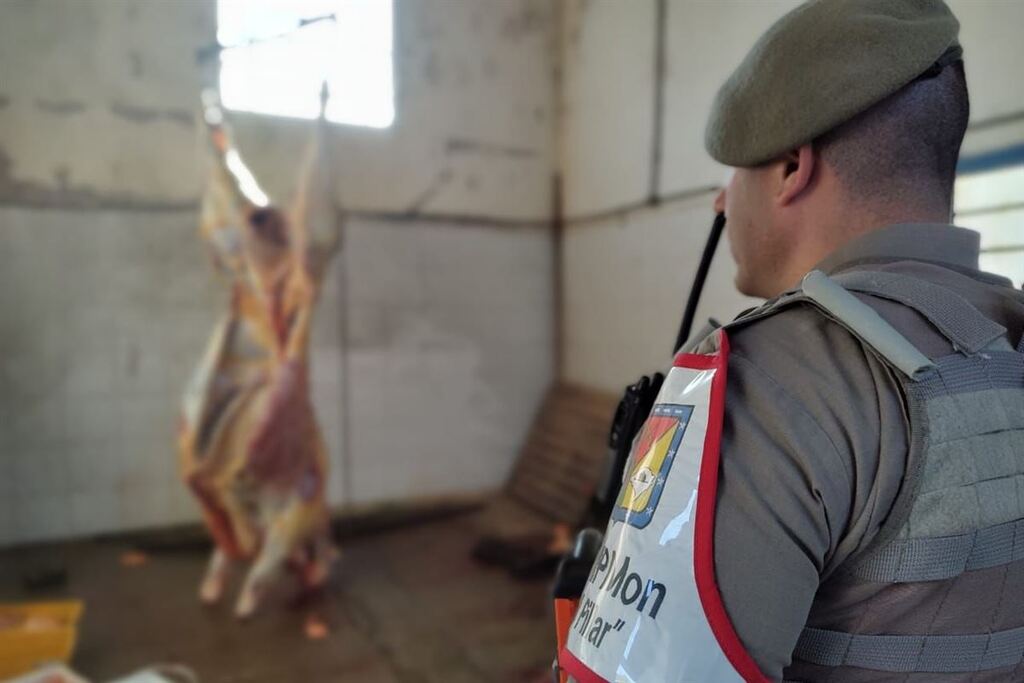 Foto: Brigada Militar - Policiais encontraram e apreenderam aproximadamente 200 quilos de carne