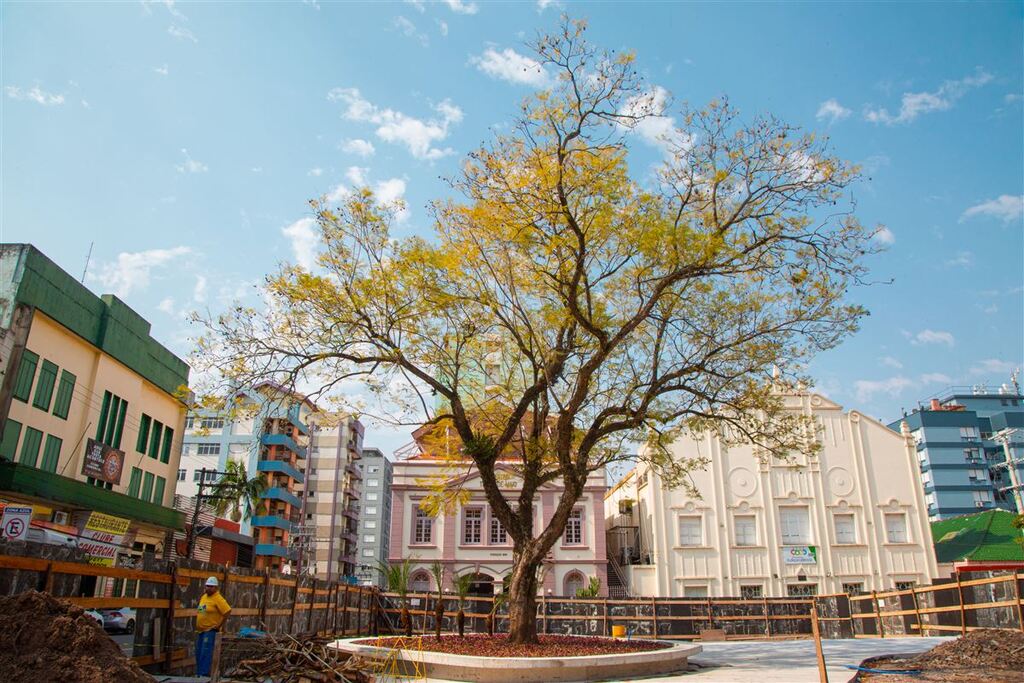 Praça Saldanha Marinho recebe primeira etapa do paisagismo