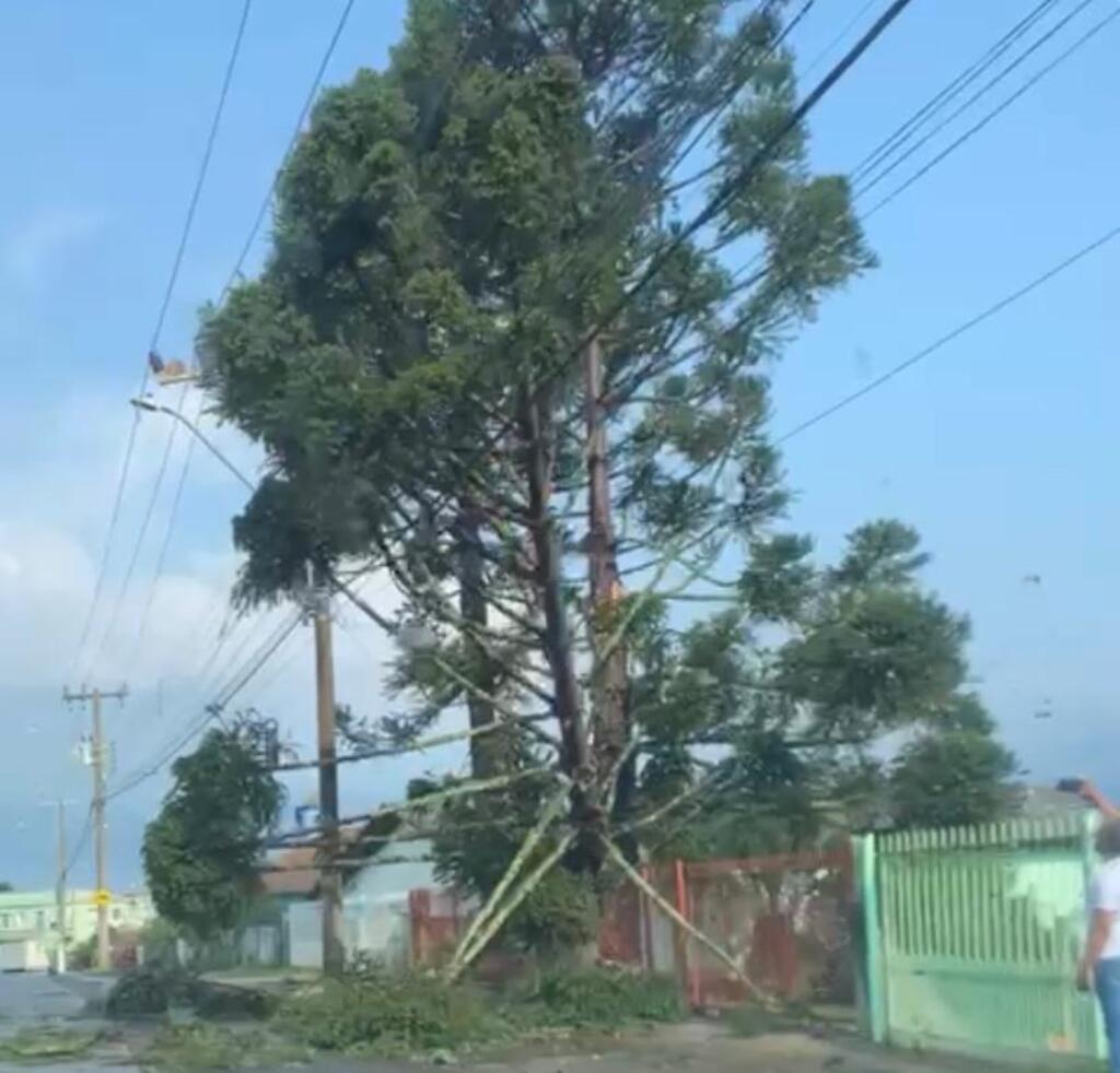 SC terá declínio acentuado das temperaturas entre a tarde de quinta e sexta-feira