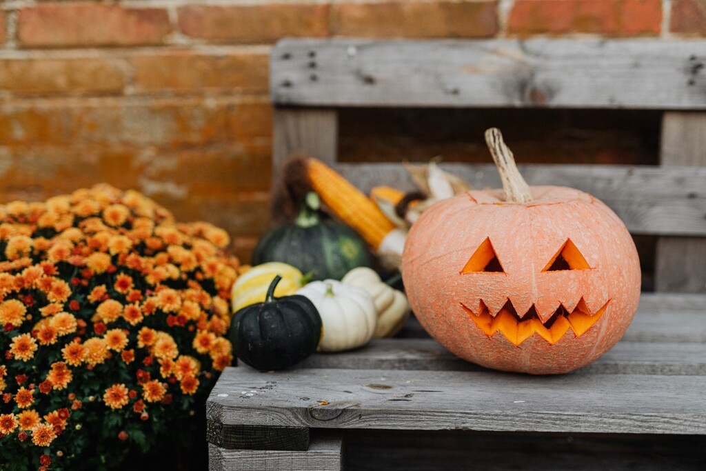 Já dá para preparar a casa para o Halloween