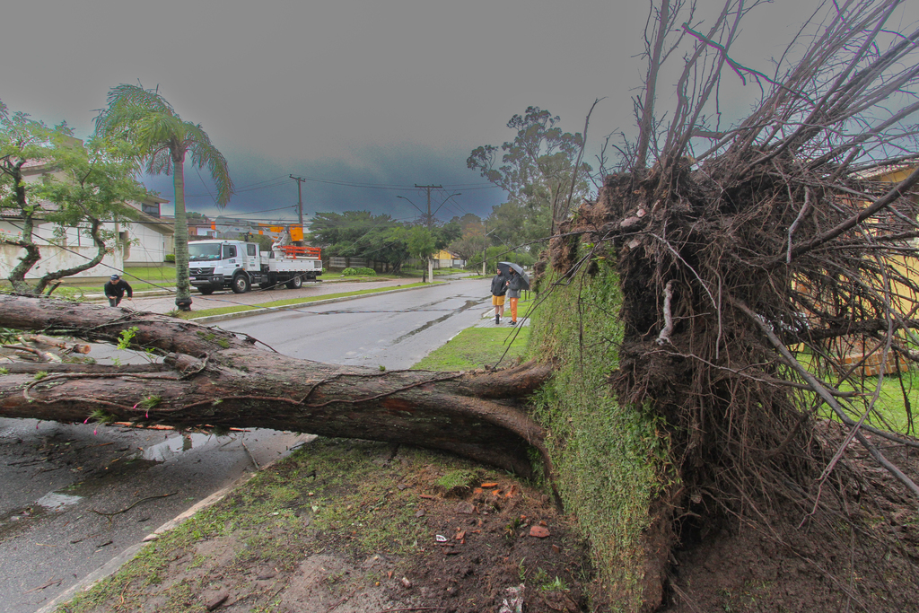 Foto: Jô Folha - DP - Impacto financeiro em Pelotas por conta do ciclone é estimado em R$ 3 milhões