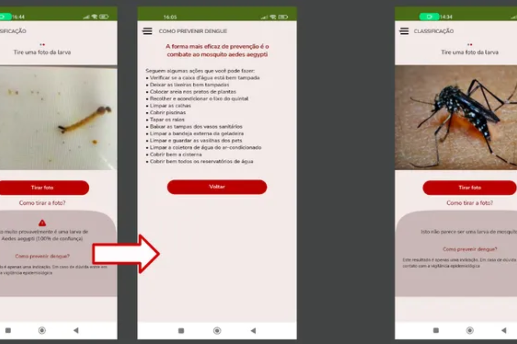 Aluno de 22 anos de SC cria app que identifica larva do mosquito da dengue com IA e vai a Paris para falar sobre tecnologia