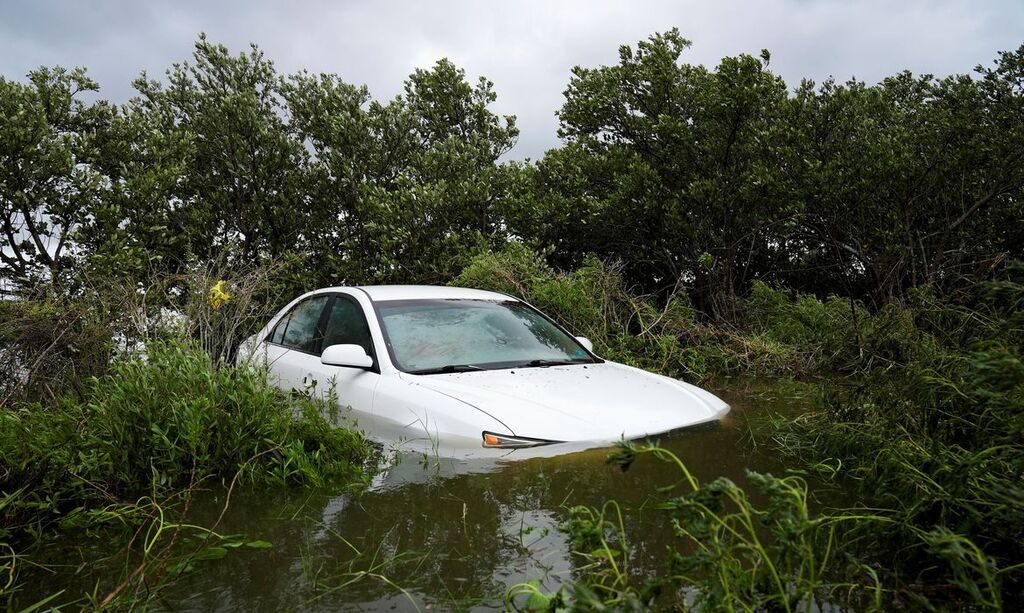 Foto: Julio Cesar Chaves / Reuters - 