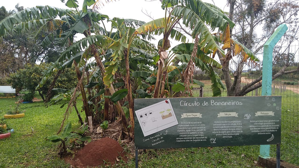 Educação no campo: uma proposta de ensino e prática na agroecologia