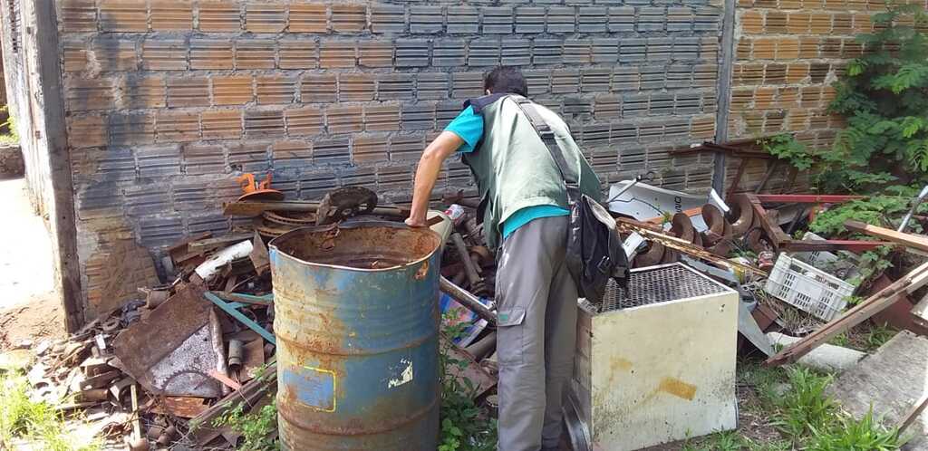 Levantamento aponta menos larvas do mosquito da dengue