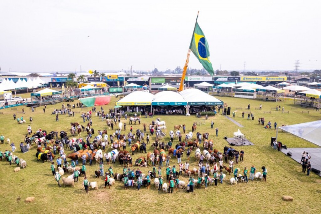 Foto: Gustavo Mansur -  Secom - Tradicional evento mostra o potencial do agro gaúcho