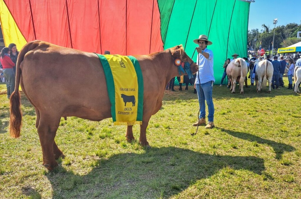 Vaca de Uruguaiana puxa a fila dos grandes compeões