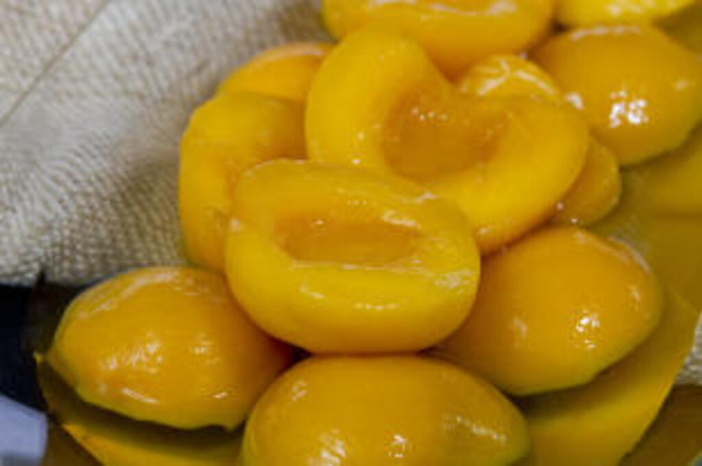 Foto: Paulo Lanzetta - Especial - DP - Pelotas e região respondem por 99% da fruta em conserva no País