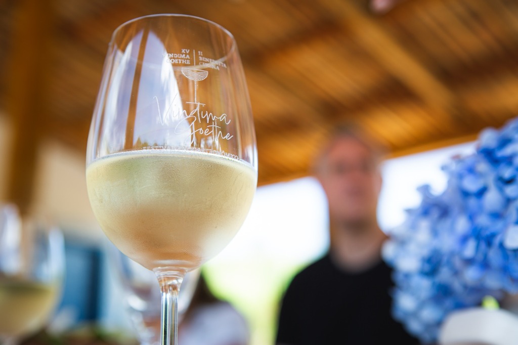 Vales da Uva Goethe expõem vinhos raros, típicos e únicos na Wine South America