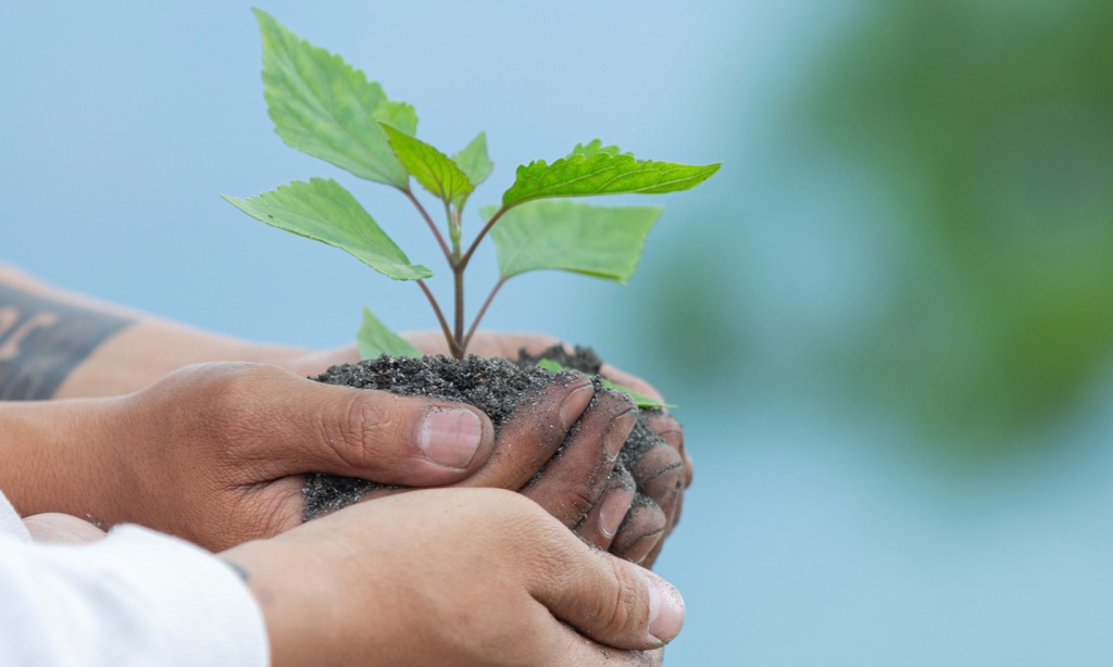 Conferência Municipal de Meio Ambiente e Saneamento Básico acontece em setembro, em Joinville