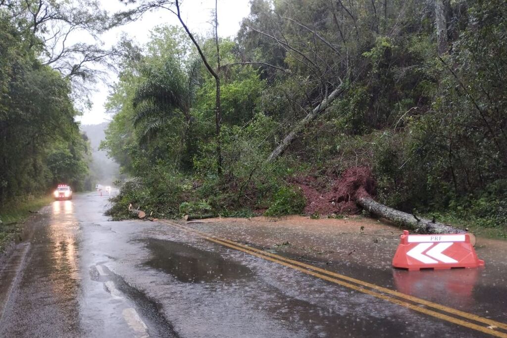 título imagem VÍDEO: Queda de árvores e desmoronamento de terras causam bloqueios parciais na BR-287 entre Jaguari e Santiago