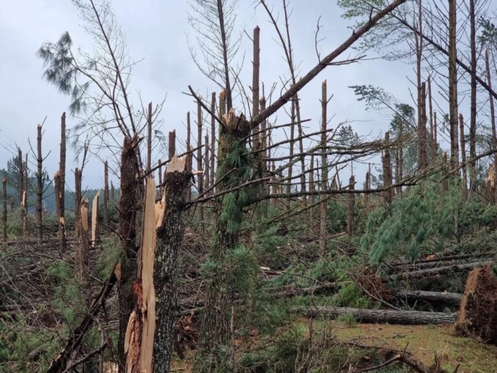 Defesa Civil confirma tornado em Santa Cecília