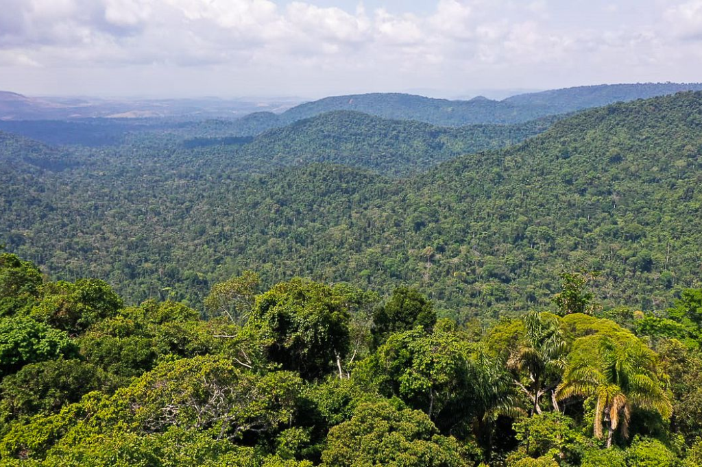 Amazônia é um dos focos da ONU para a Agenda 2030