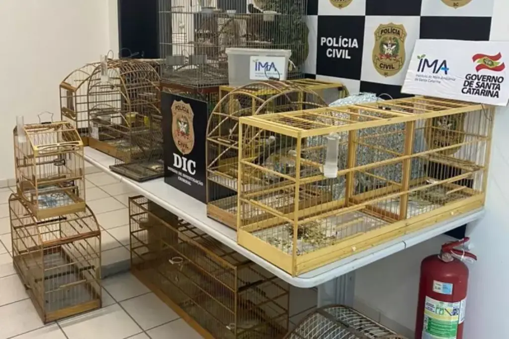 Polícia recupera 13 animais silvestres em bairros de Joinville