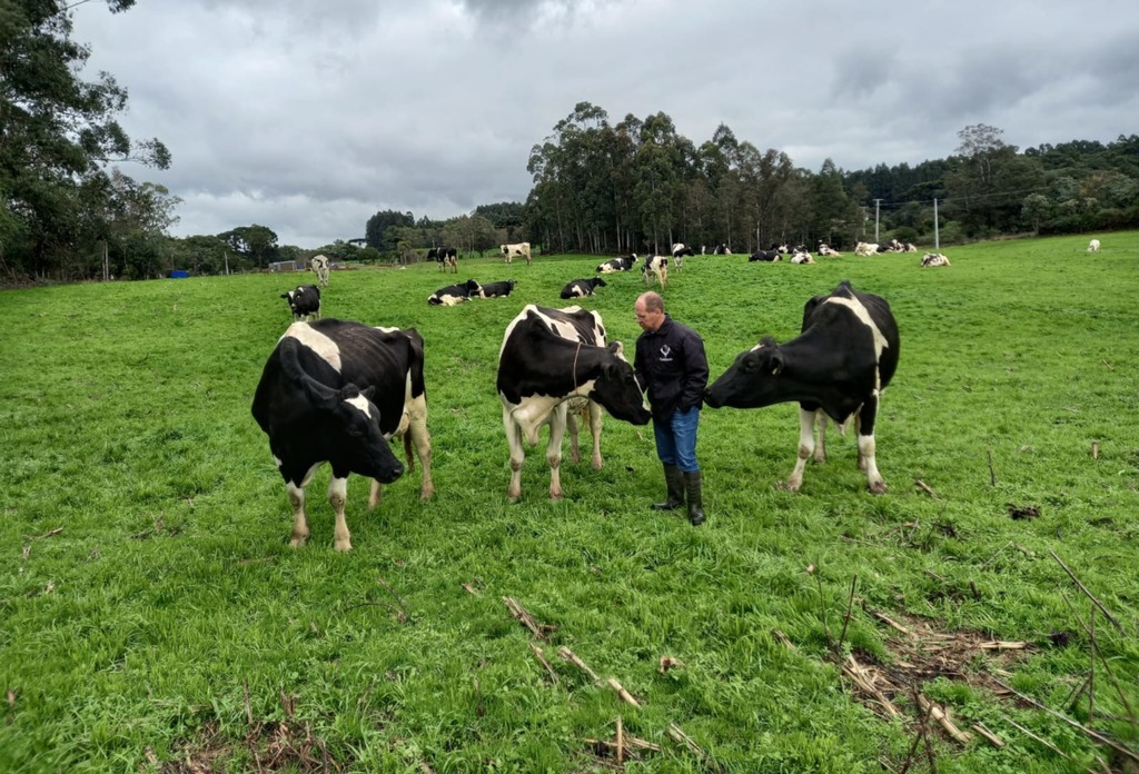 Enchentes agravam situação do setor leiteiro no Rio Grande do Sul