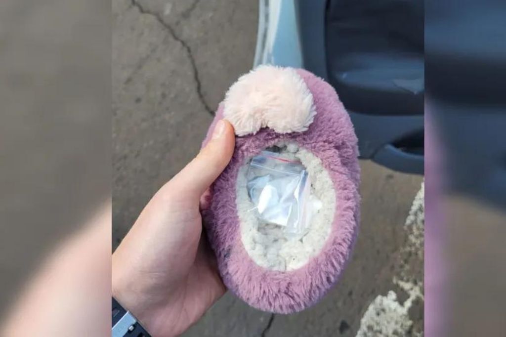  - Polícia encontra cocaína em pantufa infantil e mulher é presa por tráfico em SC — Foto: Polícia Civil/Divulgação