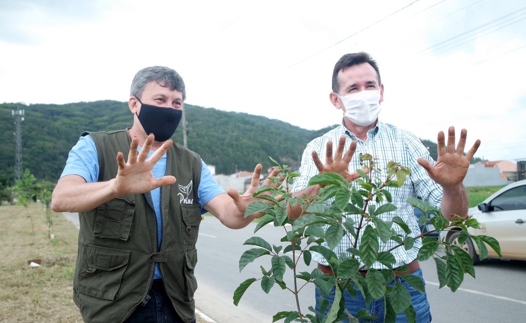 Deputado Jorge Goetten apresenta projeto Carbono Zero no Dia da Árvore