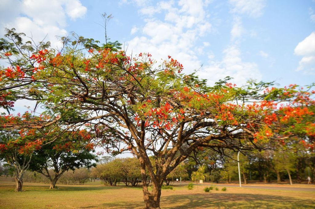  - © Marcello Casal jr/Agência Brasil