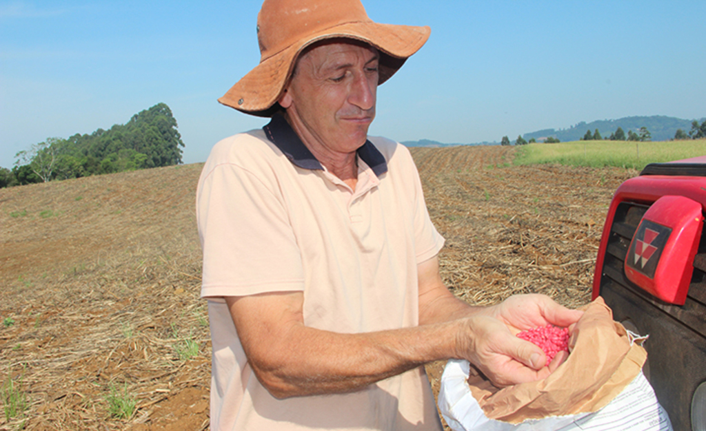 Agricultores iniciam plantio do milho para a nova safra