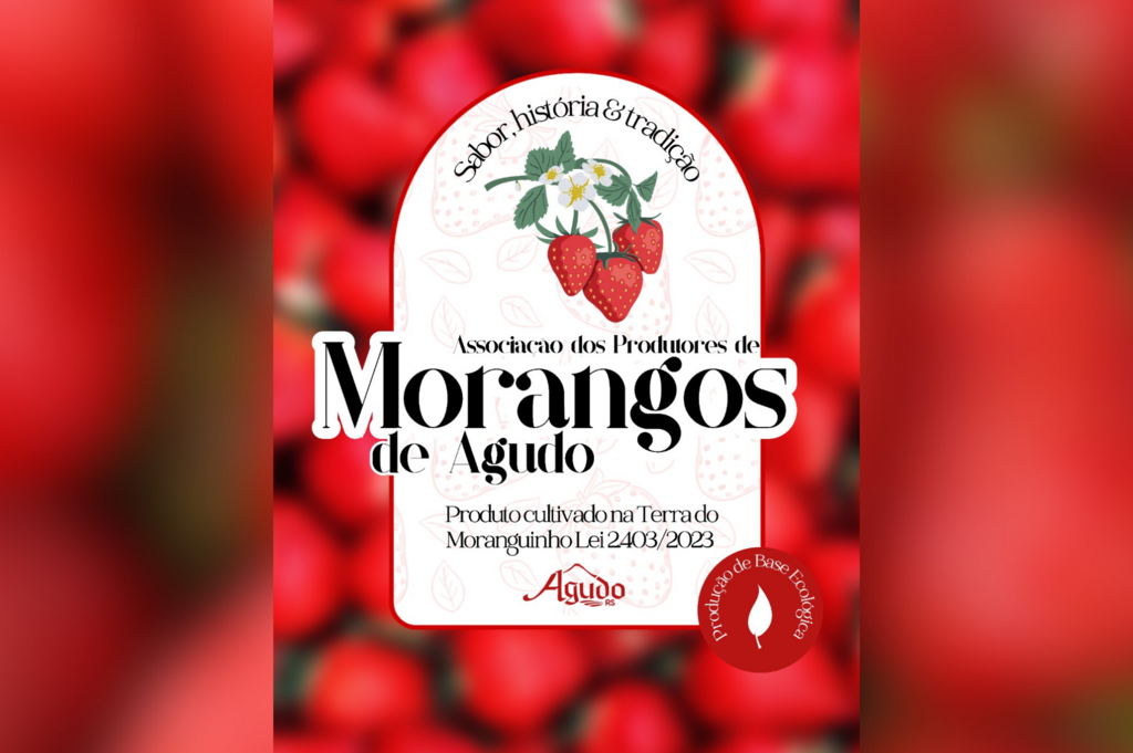 Agudo lança selo e associação de produtores de morango em festa tradicional na próxima sexta