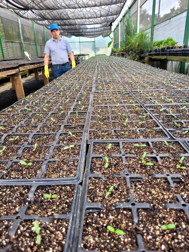 Lages será colorida por 75 mil flores