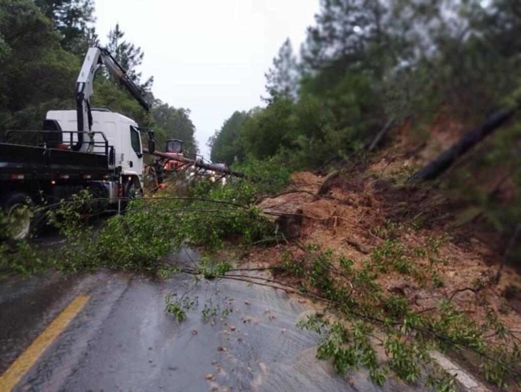 Chuva provoca desmoronamento e queda de árvore na BR 290