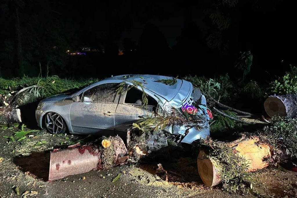  - Carro é esmagado após árvore cair durante ventos fortes em SC — Foto: Corpo de Bombeiros/Divulgação