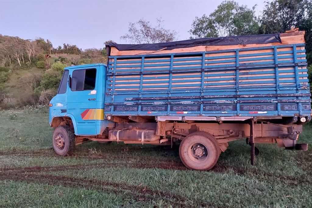 Caminhão carregado com vacas e terneiros é abandonado em estrada da região