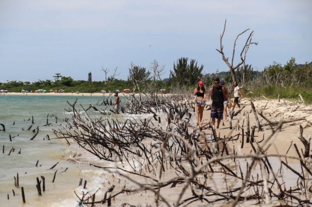  - Mar avança na praia da Daniela – Foto: Anderson Coelho/Arquivo