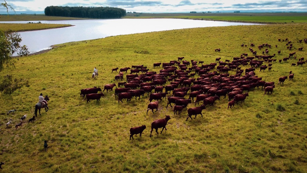 SÃO GABRIEL NO RANKING DA PRODUÇÃO RURAL GAÚCHA