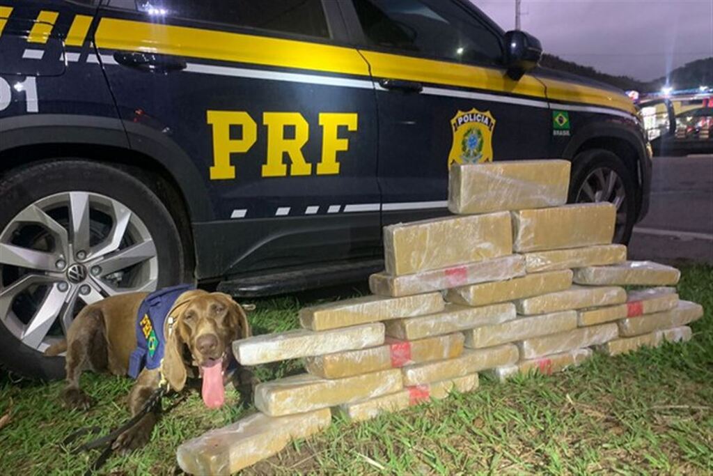Foto: Polícia Rodoviária Federal - Droga foi encontrada por um cão farejador da PRF