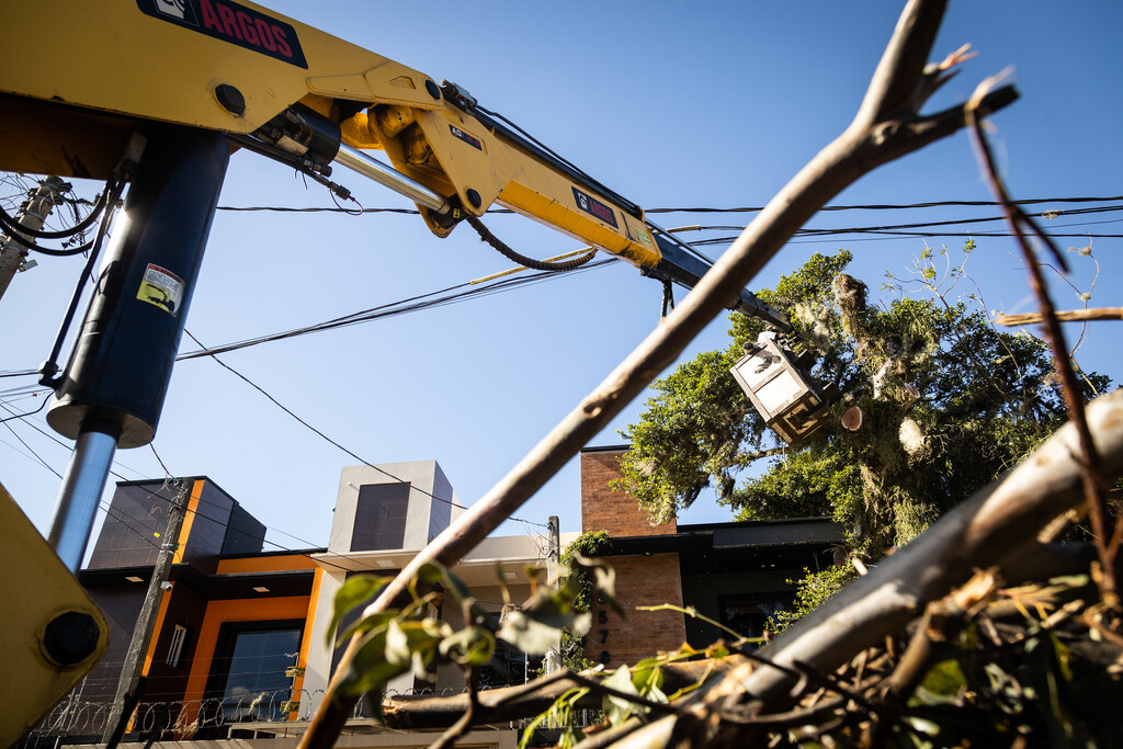 Prefeitura abre licitação para serviço de manejo vegetal urbano