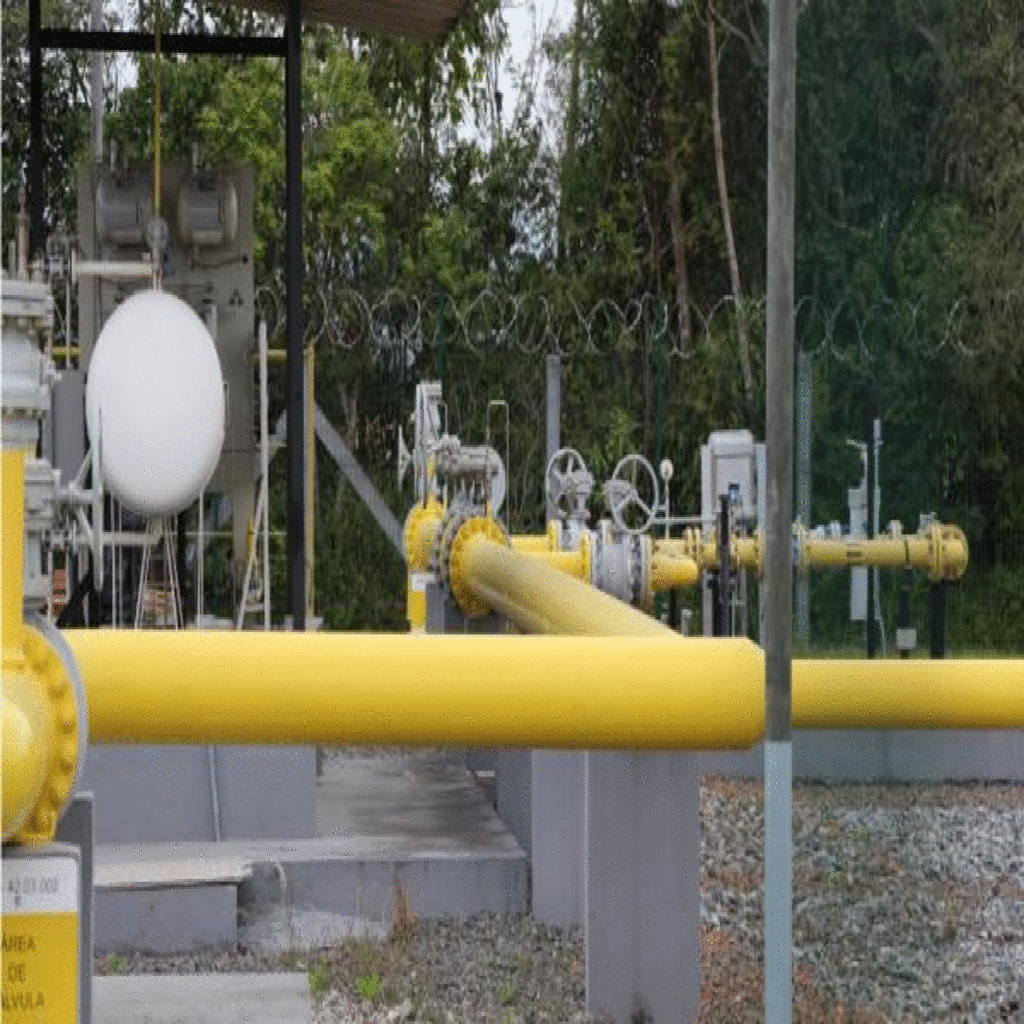 ASCOM SCGÁS - Até o fim desse período, mais de 80 municípios catarinenses terão a infraestrutura de um energético mais limpo, eficiente e seguro