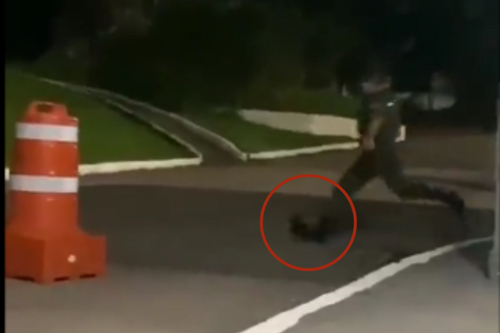 título imagem VÍDEO: militar é flagrado ao chutar animal em quartel do Exército