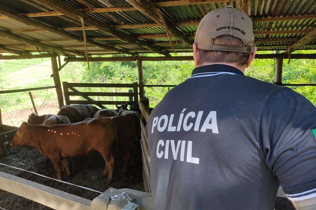 Foto: Polícia Civil - Animais haviam sido furtados em São Martinho da Serra no dia 20 de setembro