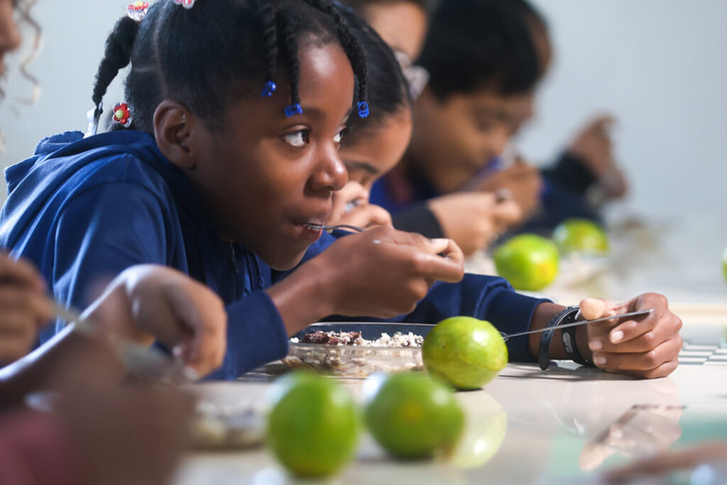 Alimentação escolar: editais abertos para compra de produtos da agricultura familiar catarinense