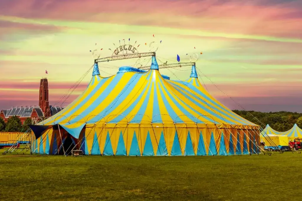 Artista do Ferrari Circus sofre queda durante apresentação em Joinville