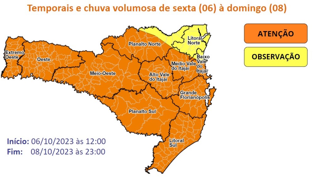 jornal O Indaialense / Cotidiano / Equitação: arte de montar e cuidar de  cavalos com muito amor