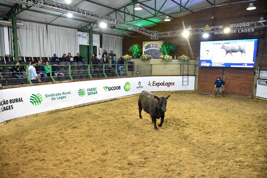 Ótimo resultado no primeiro leilão de animais da Expolages 2023