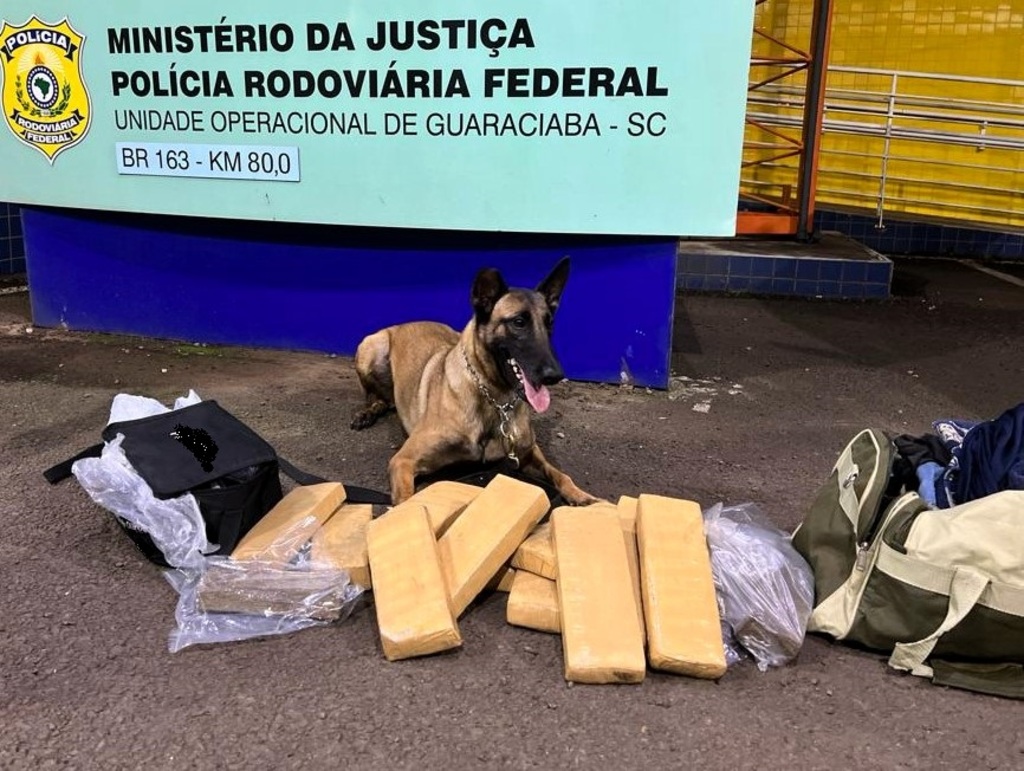 Localizada maconha em bagageiro de ônibus na BR-163 em Guaraciaba