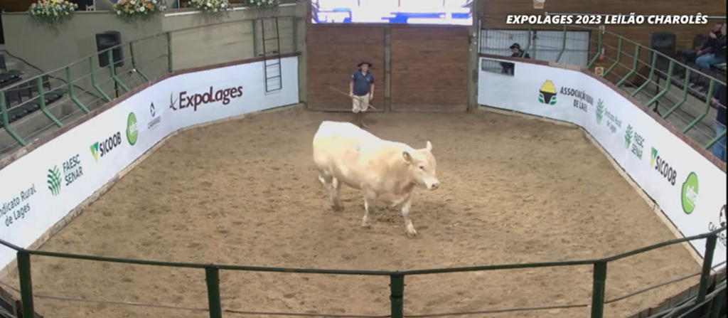 Feira de Gado Geral – Associação e Sindicato Rural de Lages 