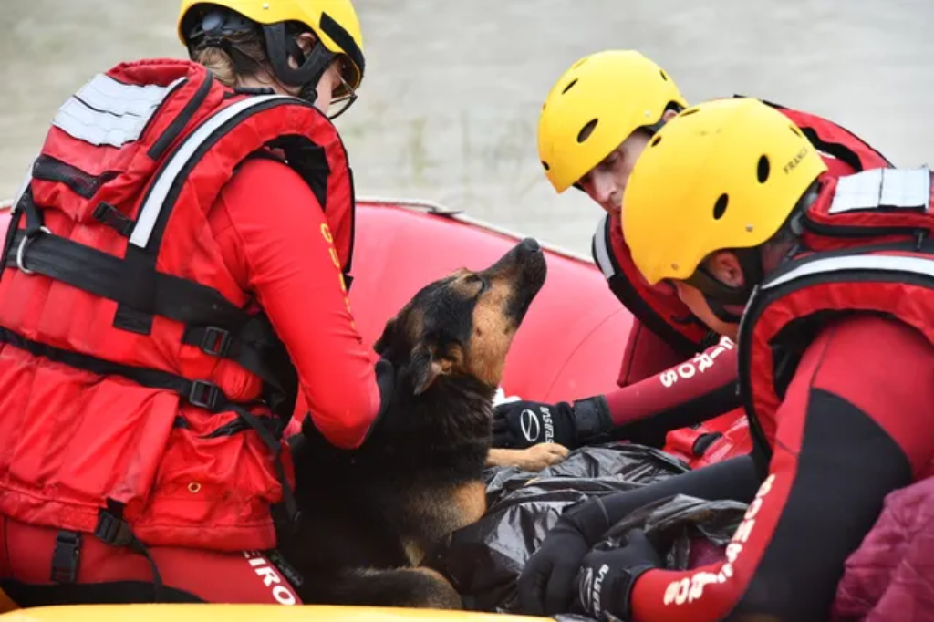  - Cão esquenta dono resgatado ao ser encontrado agarrado a um poste com hipotermia em SC — Foto: CBMSC/Divulgação