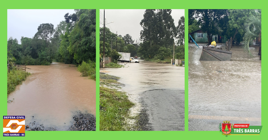Divulgação - 