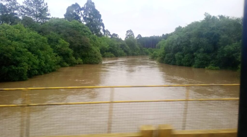 Divulgação - 